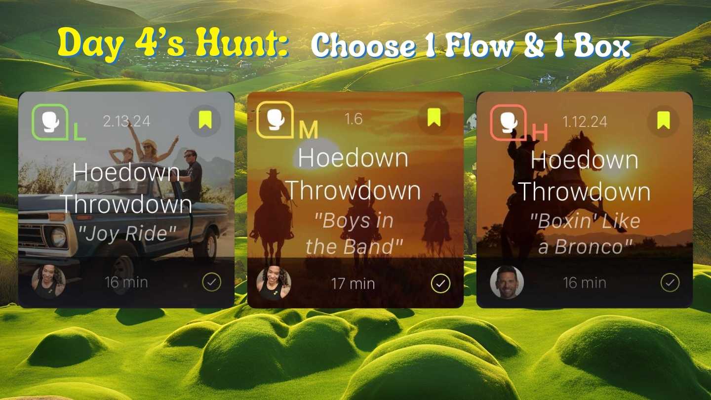 Day 4 Boxing Options