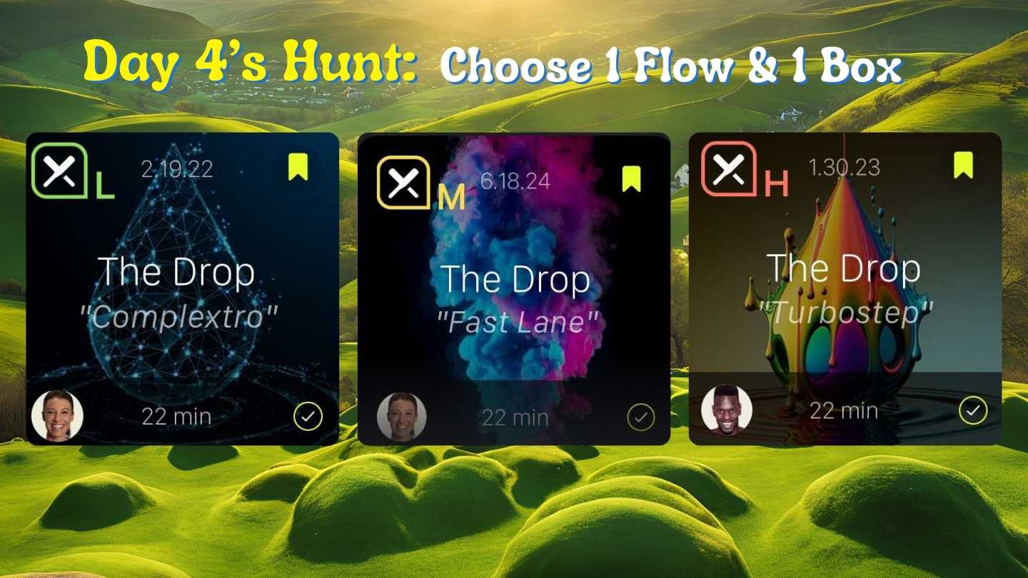 Day 4 Flow Options