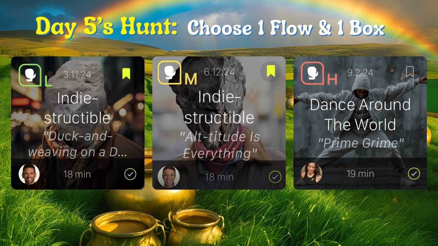 Day 5 Boxing Options