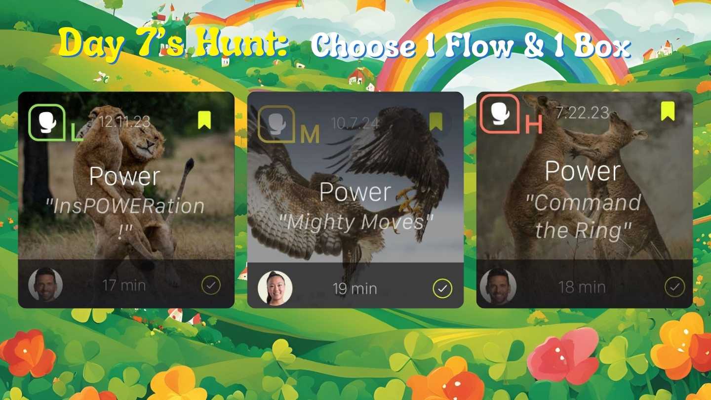 Day 7 Boxing Options